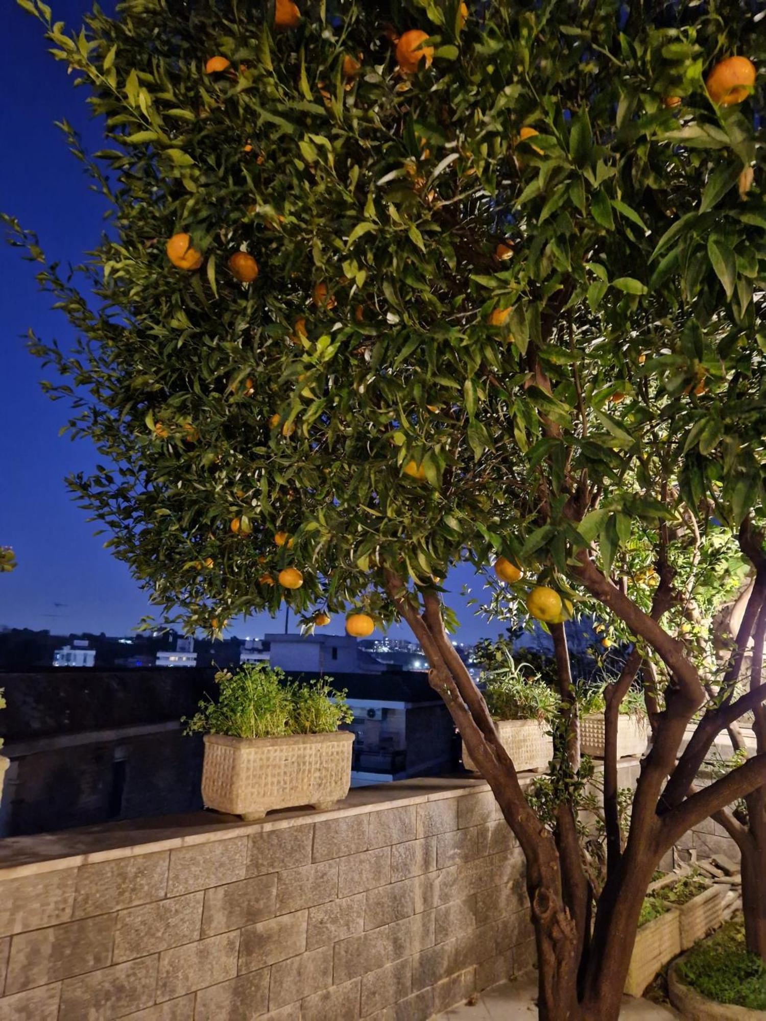 Fuga A Napoli Apartment Exterior foto